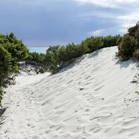 Hotel Fiore Di Maggio 3*