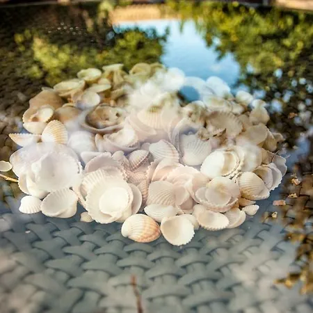 Fiore Di Maggio فندق 3*