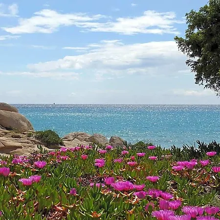 Fiore Di Maggio מלון