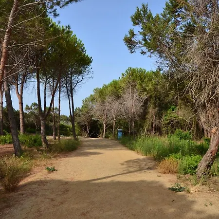 Fiore Di Maggio 빌라시미우스