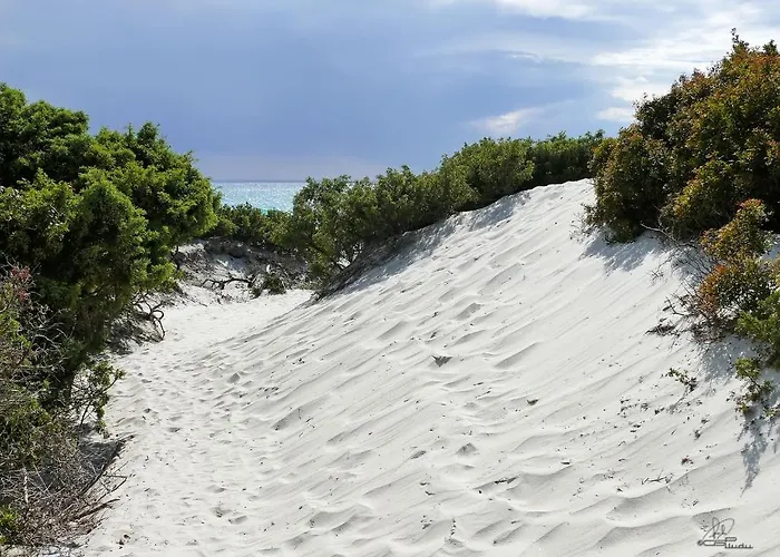 Szálloda Fiore Di Maggio 3*